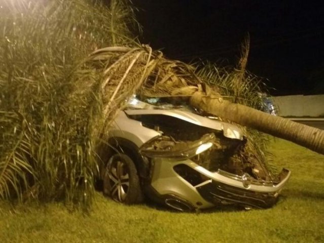 Motorista de caminhonete derruba coqueiro na Duque de Caxias após “fechada”