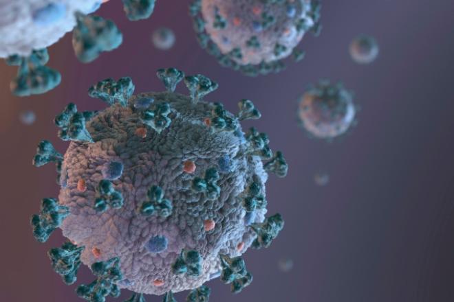 O novo coronavírus é muito mais parecido com o HIV do que se imaginava