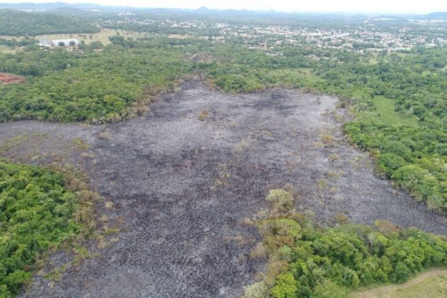 Pol Cia Militar Ambiental Aplicou R Milh Es Em Multa Por Inc Ndios