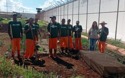 Parceria entre Agepen e Senar promove educação profissionalizante para internos da Penitenciária de Dourados