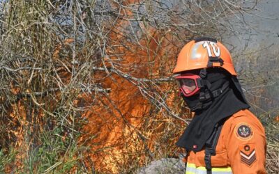 Prevenção aos incêndios florestais será discutida por autoridades nesta terça e quarta na Famasul