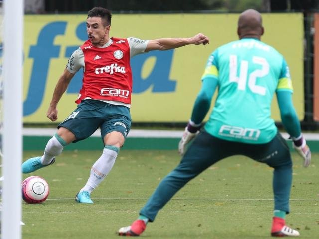 Palmeiras recebe Novorizontino em busca de vaga na semifinal do Paulistão