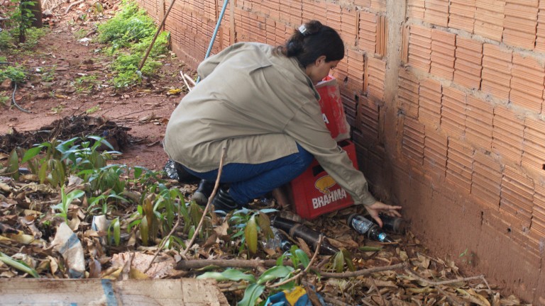 Combate à dengue: Em um dia, vistoria encontra 400 focos de mosquito em Campo Grande
