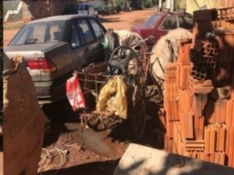 Com 12 mortes por dengue em MS, Saúde monitora “acumuladores”