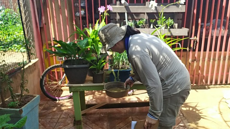 Com quase 6 mil casos, Campo Grande declara emergência por epidemia de dengue