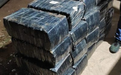 Ação conjunta entre as Polícias Civil e Militar resulta na prisão de dois indivíduos e na apreensão de 370 kg de maconha