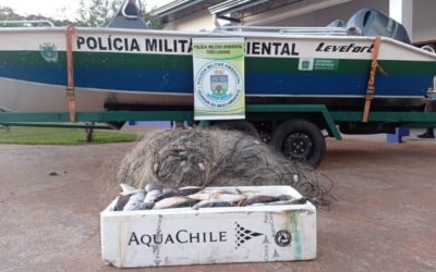 PMA de Três Lagoas apreende 1500 metros de redes de pesca na operação Pesca Legal, retira e solta 20 kg de pescado dos petrechos ilegais e doa 50 kg encontrados mortos