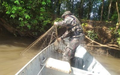 Polícia Militar Ambiental autuou 571 pessoas e aplicou R$ R$ 11,5 milhões em multas por infrações ambientais neste primeiro semestre de 2022