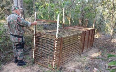 Polícia Militar Ambiental de Batayporã realiza fiscalização contra caçadores em reserva florestal de fazenda, evita caça ilegal e apreende armadilha de caça