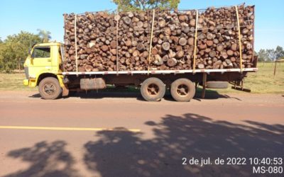 Polícia Militar Ambiental de Rochedo apreende caminhão com 29 m³ de madeira ilegal e autua proprietário em 8,6 mil
