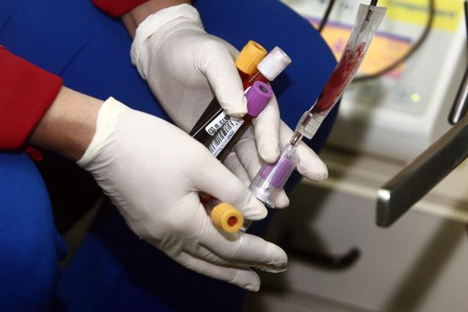 Entenda as etapas e processos da doação de medula óssea no Brasil