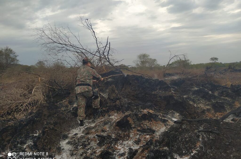 Polícia Militar Ambiental de Corumbá autua infrator por incendiar restos de vegetação em leiras no Pantanal neste período proibido