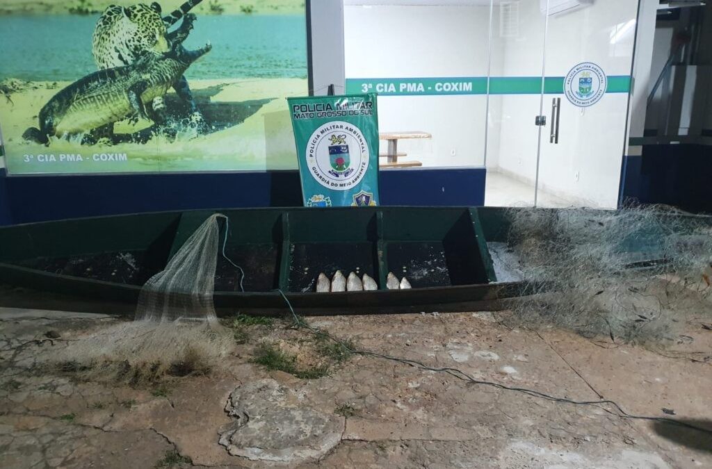 Polícia Militar Ambiental de Coxim surpreende e autua pescador profissional por pescar com redes de pesca e tarrafa e capturar pescado abaixo da medida permitida.