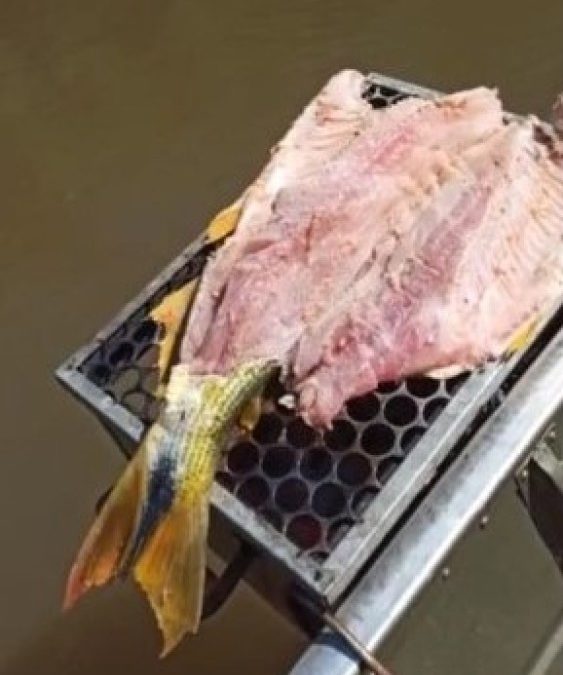 PMA de Amambai prende e autua comerciante em R$ 4,7 mil por captura de dourado que está com pesca proibida e divulga nas redes sociais