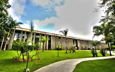 Projeto de lei isenta o ICMS na aquisição de armas e munições em MS