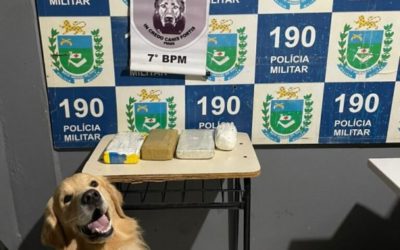 Em Anastácio, Polícia Militar apreende quase 4kg de cocaína na bagagem de uma mulher que viajava de ônibus