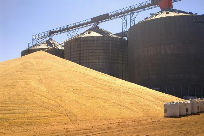 Abertura de mercado para o farelo de soja incentiva agroindustrialização do Estado