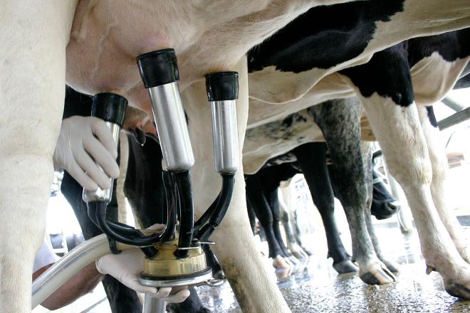Inflação e desequilíbrio entre oferta e demanda geram futuro incerto para mercado de leite