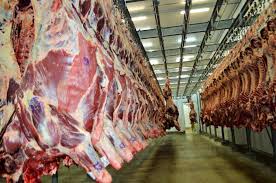 Exportação de carne bovina tem melhor resultado da história e projeta crescimento
