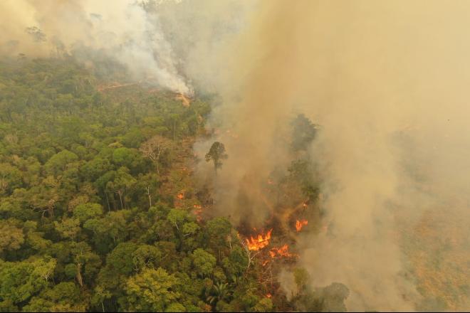 Pelo 3.º dia consecutivo, Amazônia tem mais de 3.000 queimadas simultâneas