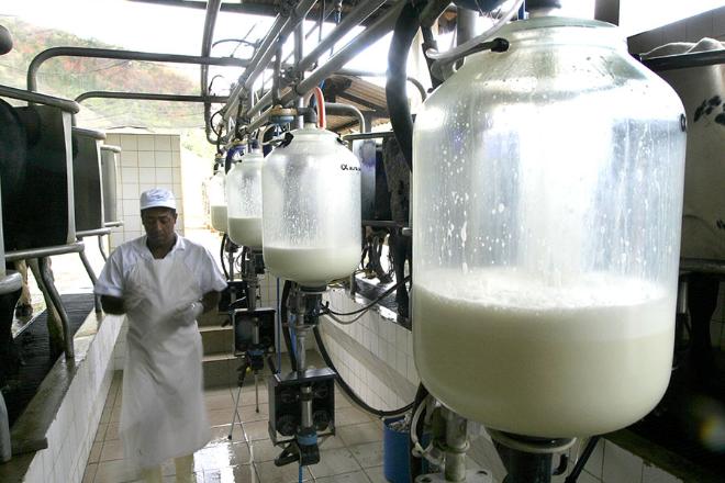 Preço do leite direto do produtor sobe pela 7ª vez consecutiva só este ano