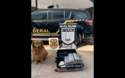 Mulher é presa com cocaína e maconha na mala em aeroporto de MS