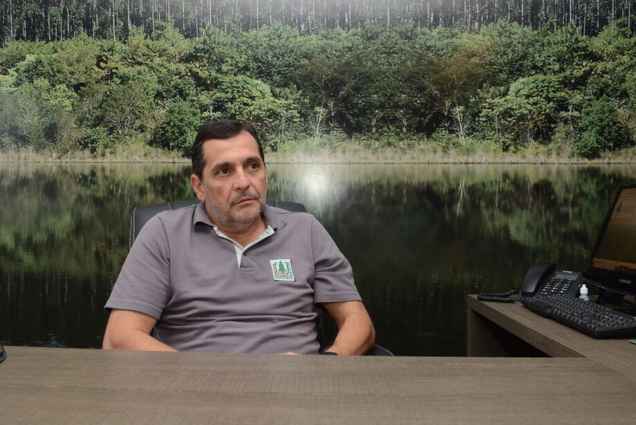 “A atividade industrial da celulose será a mais importante, superando a soja”
