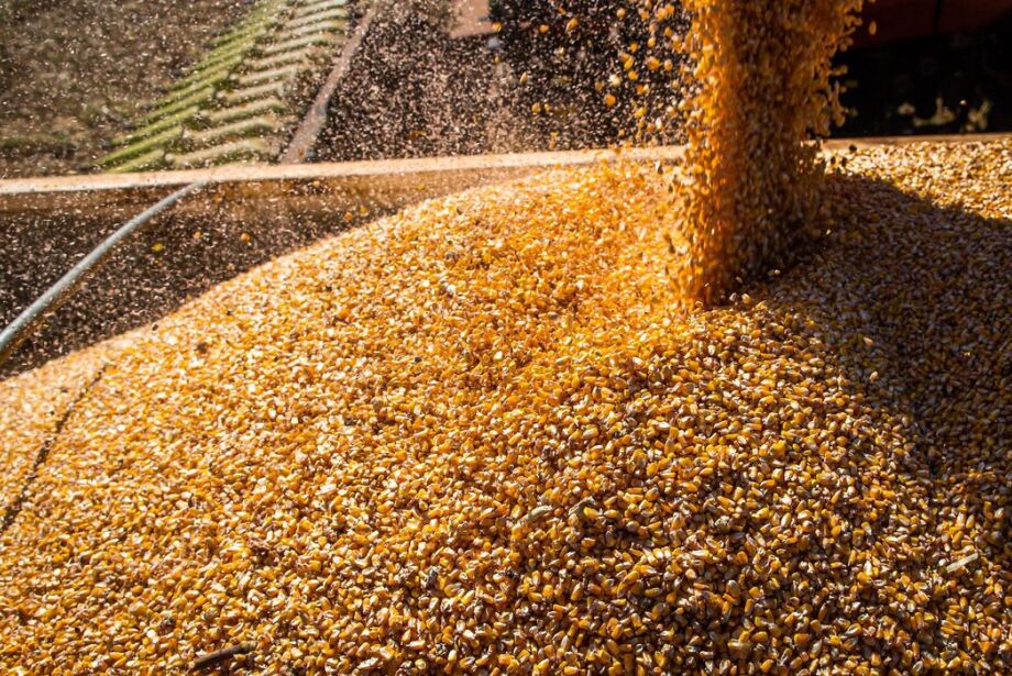 Produção de grãos deve chegar a 312,4 milhões de toneladas em 2023