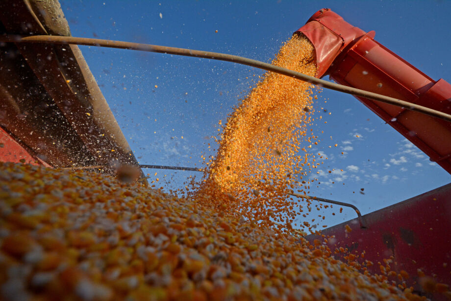 Exportação do agro cresce 61% em outubro, para US$ 14,25 bilhões