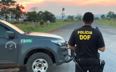 Mulher é presa com mochilas abarrotadas de maconha em ônibus de Ponta Porã