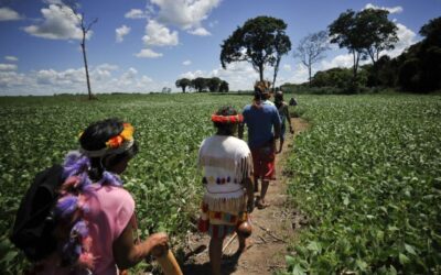 MPF denuncia indígenas por tortura e ameaça contra anciã em aldeia de Antônio João