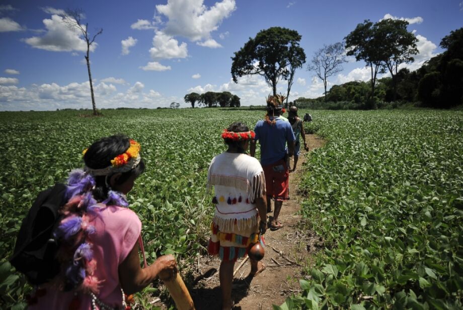 MPF denuncia indígenas por tortura e ameaça contra anciã em aldeia de Antônio João