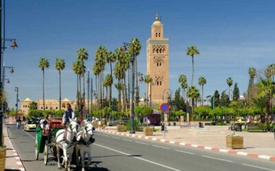 Fifa define Marrocos como sede do Mundial de Clubes em 2023