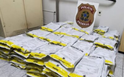 Polícia Federal apreende 240 kg de agrotóxicos contrabandeados em Corumbá