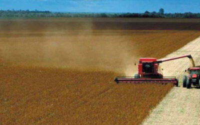 Trégua na chuvarada em boa parte do Estado traz alívio a produtores