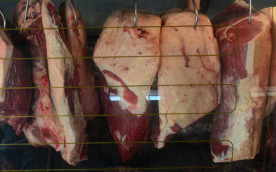 México habilita seis frigoríficos de Mato Grosso do Sul para exportação de carne bovina