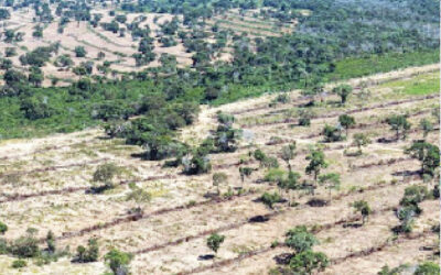 Entidades afirmam que tentativa de liberar drenagem no Pantanal é antiga