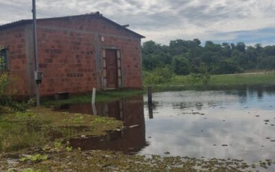 Rio ultrapassa os sete metros e expulsa famílias na cidade de Miranda