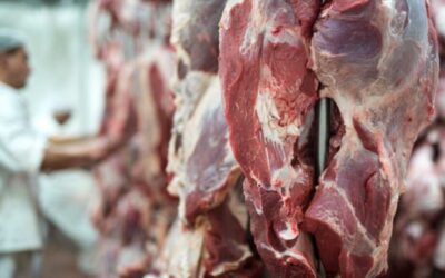 Mais de 100 frigoríficos estão de olho no mercado chinês, diz secretário