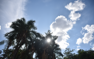 Com predomínio do sol, domingo terá chuvas isoladas em grande parte de Mato Grosso do Sul