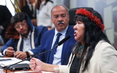 Presidenta da Funai elege medidas urgentes para terra Yanomami