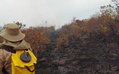 Campanha realiza prevenção de combate a incêndios florestais em MS