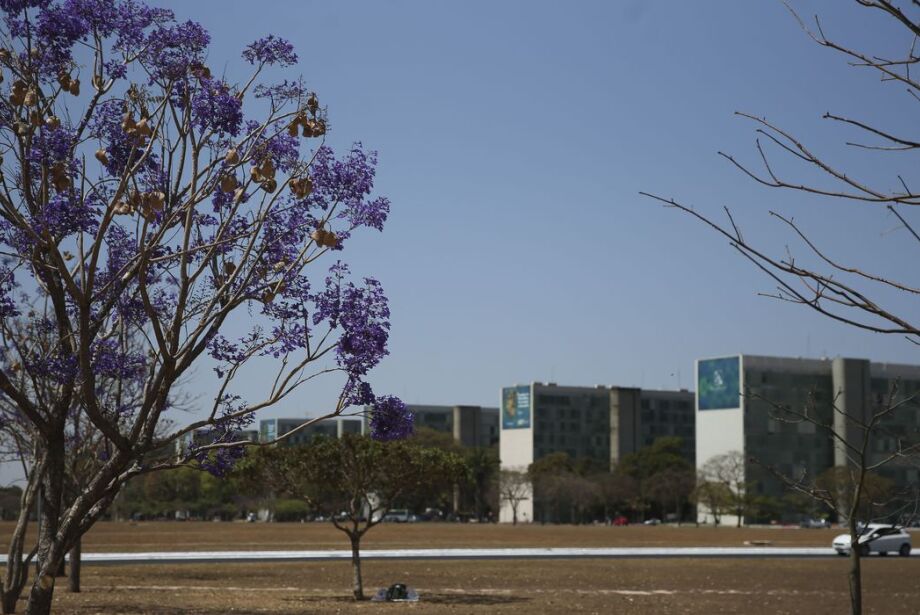 Cai a participação de mulheres em cargos no governo federal