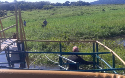 Sem apoio do governo, lancheiros se unem e desobstruem rio do Pantanal após 90 dias