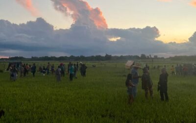 MS tem 224 mil hectares de terras indígenas à espera de demarcação