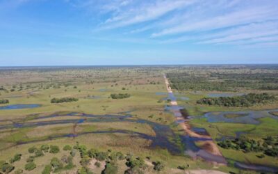 Contratado mais um trecho da implantação da MS-214, que liga a BR-163 ao Pantanal do Paiaguás