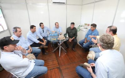 Governo discute decreto de emergência pela gripe aviária com autoridades sanitárias e lideranças rurais