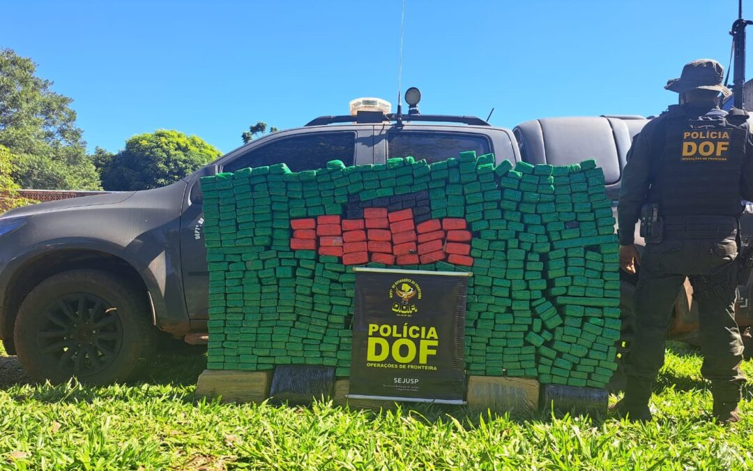 Após avistar policiais, traficante se esconde em residência lotada de maconha em Paranhos