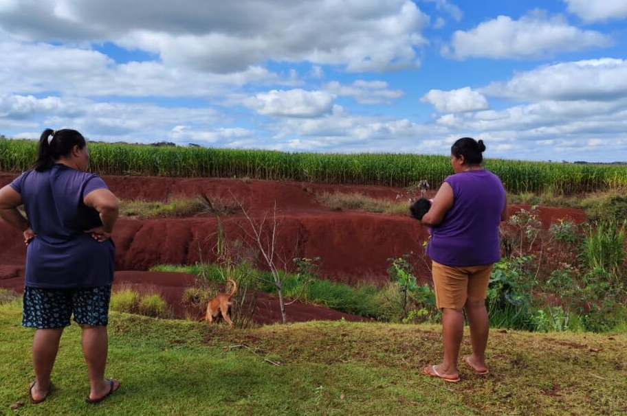 Comunidades indígenas Jaguapiru e Bororo ficam ao lado de plantação que usa agrotóxicos - MARIANA ROCHA