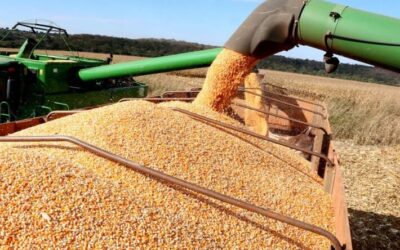 Produção agrícola do Estado deve superar 72 milhões de toneladas com renda acima dos R$ 52 bilhões